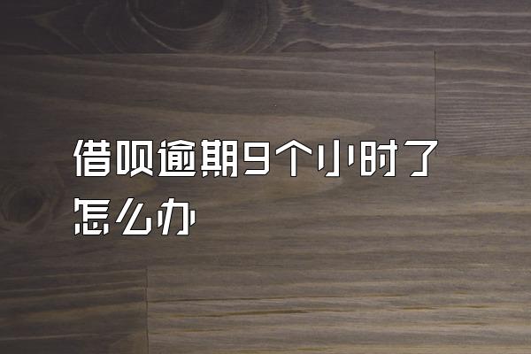 借呗逾期9个小时了怎么办