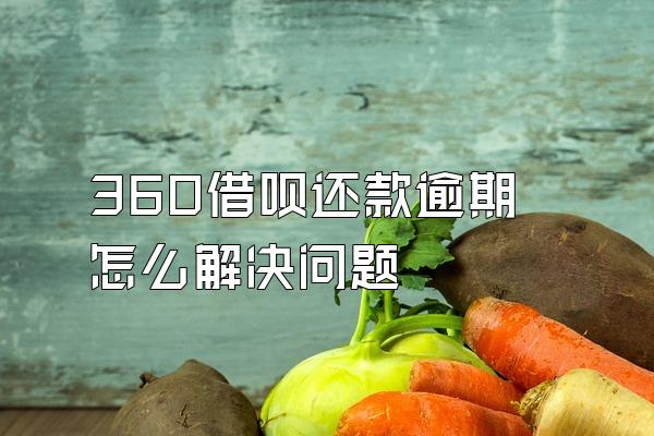 360借呗还款逾期怎么解决问题