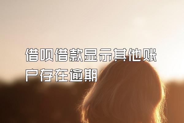 借呗借款显示其他账户存在逾期