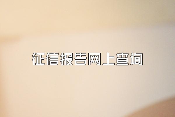 征信报告网上查询