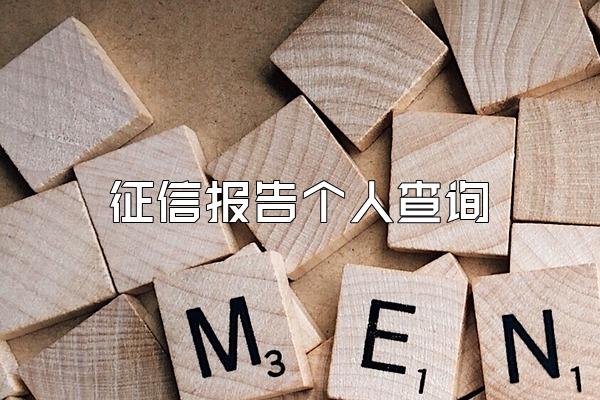 征信报告个人查询