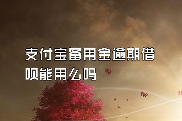 支付宝备用金逾期借呗能用么吗