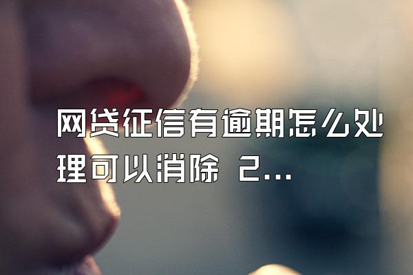 网贷征信有逾期怎么处理可以消除 2022