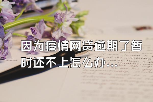 因为疫情网贷逾期了暂时还不上怎么办支付宝