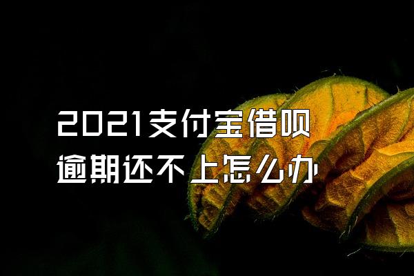 2021支付宝借呗逾期还不上怎么办