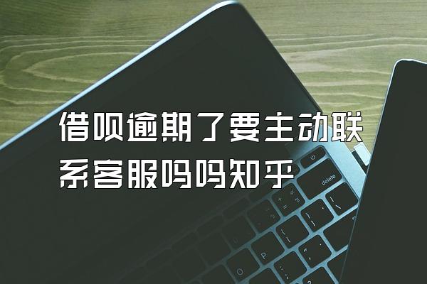 借呗逾期了要主动联系客服吗吗知乎