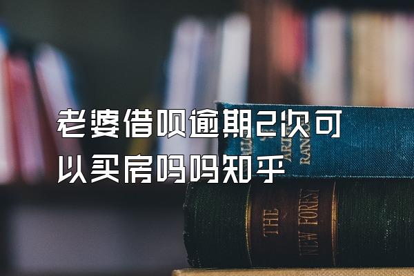 老婆借呗逾期2次可以买房吗吗知乎