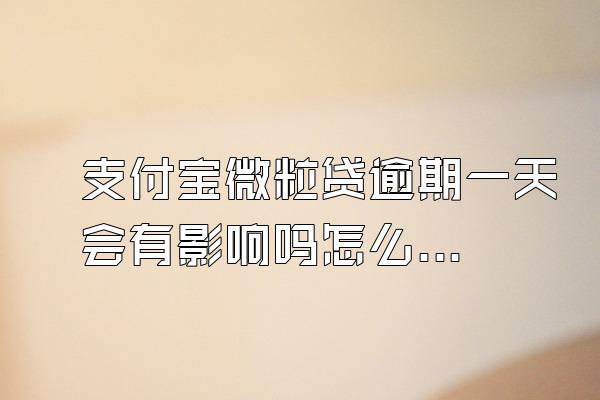 支付宝微粒贷逾期一天会有影响吗怎么办