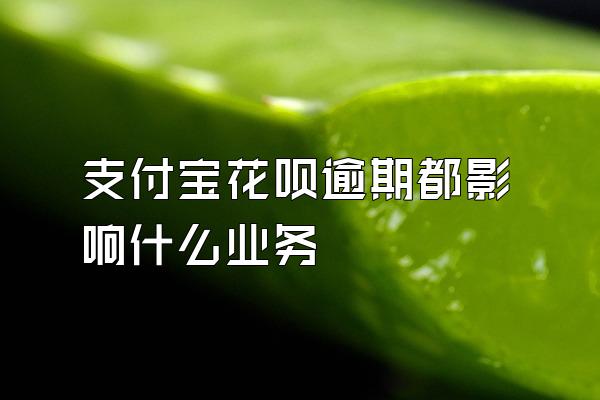 支付宝花呗逾期都影响什么业务