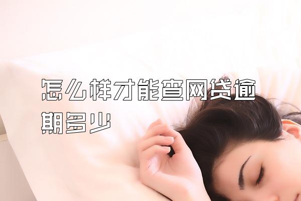 怎么样才能查网贷逾期多少