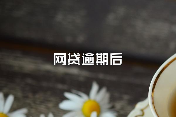 网贷逾期后