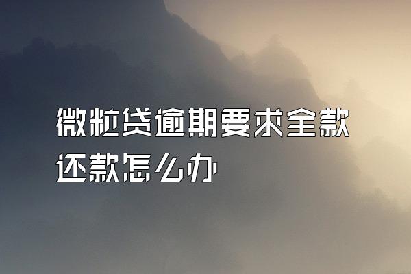 微粒贷逾期要求全款还款怎么办