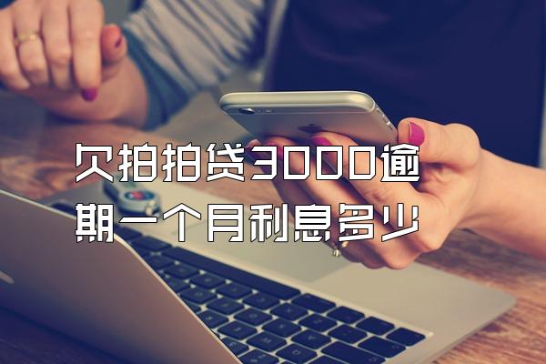 欠拍拍贷3000逾期一个月利息多少