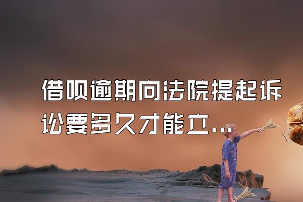 借呗逾期向法院提起诉讼要多久才能立案