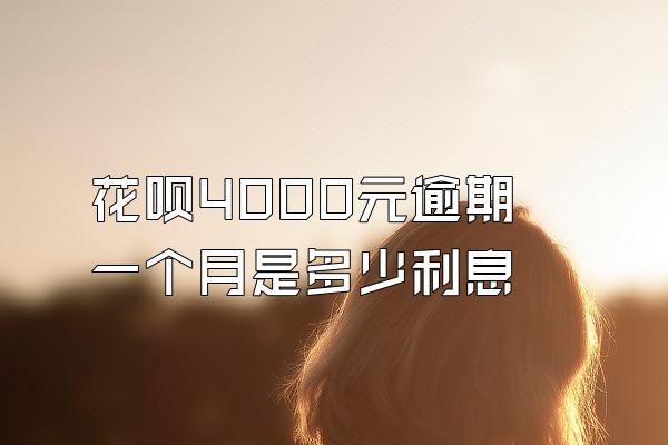 花呗4000元逾期一个月是多少利息