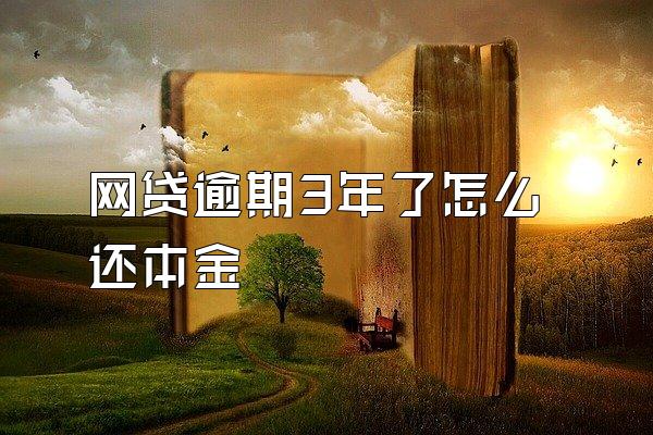 网贷逾期3年了怎么还本金