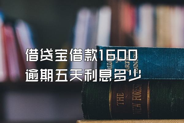 借贷宝借款1600逾期五天利息多少