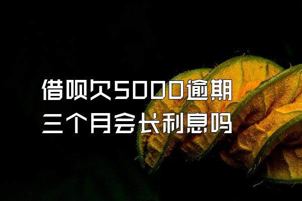 借呗欠5000逾期三个月会长利息吗