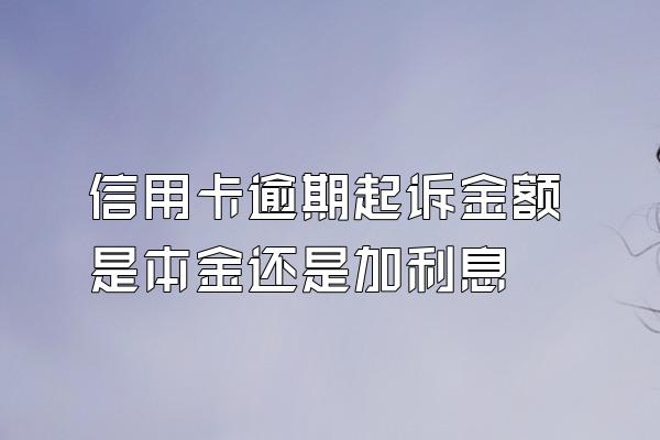 信用卡逾期起诉金额是本金还是加利息