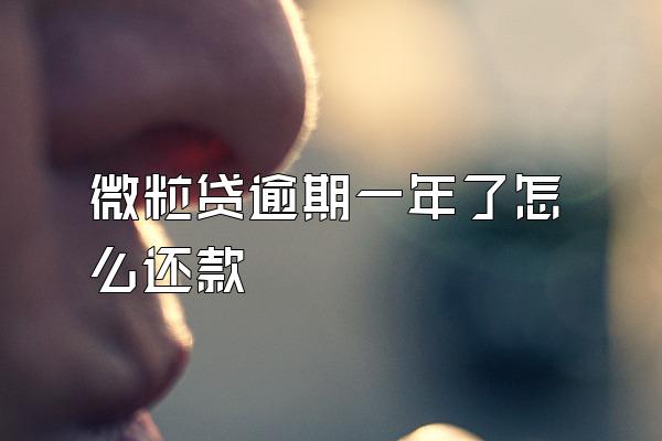 微粒贷逾期一年了怎么还款