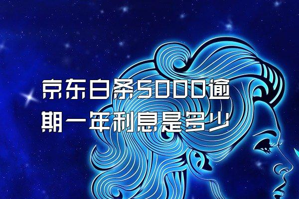 京东白条5000逾期一年利息是多少