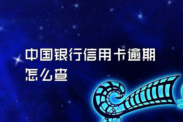 中国银行信用卡逾期怎么查