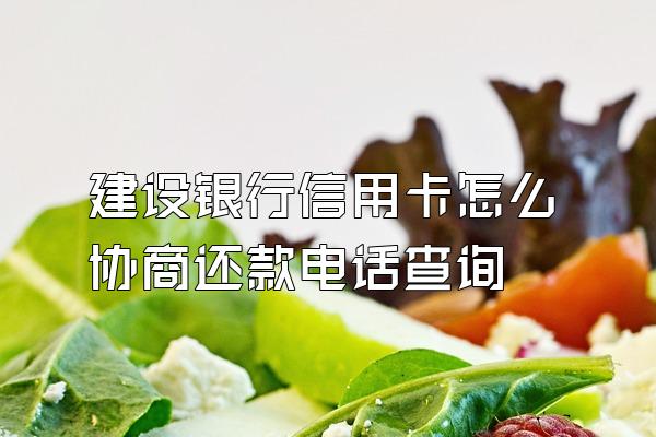 建设银行信用卡怎么协商还款电话查询