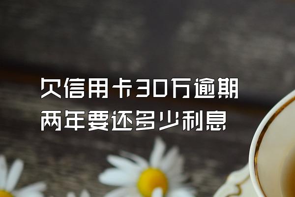 欠信用卡30万逾期两年要还多少利息