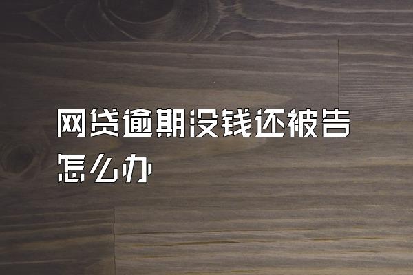 网贷逾期没钱还被告怎么办