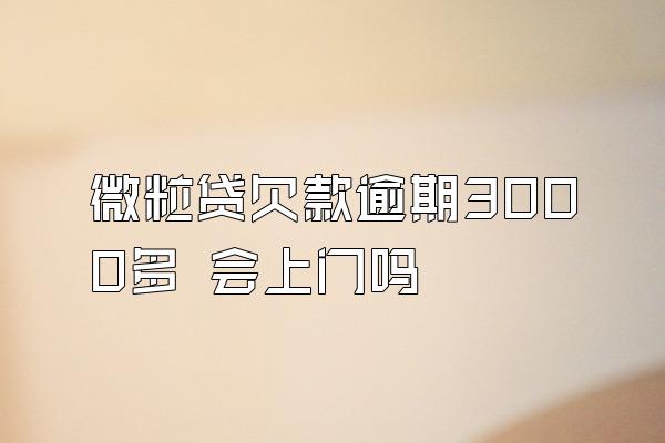 微粒贷欠款逾期3000多 会上门吗