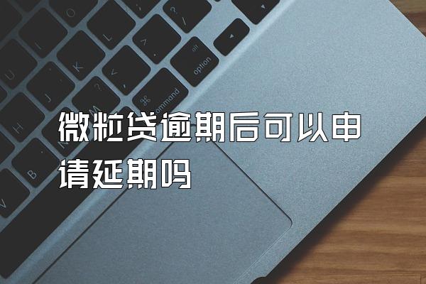 微粒贷逾期后可以申请延期吗