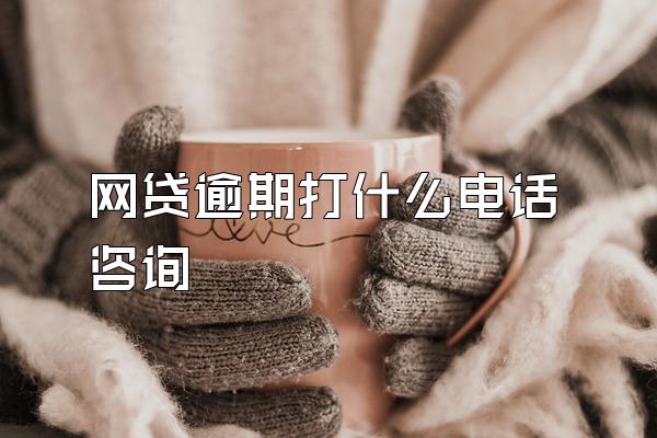 网贷逾期打什么电话咨询