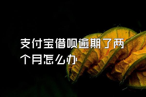 支付宝借呗逾期了两个月怎么办