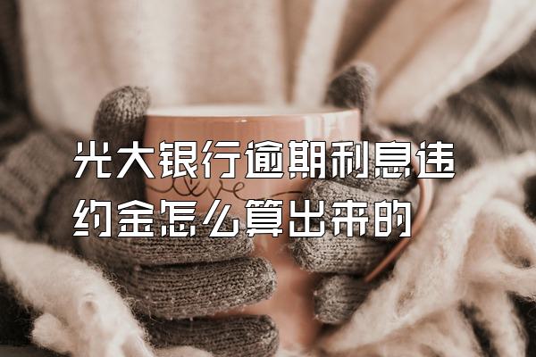 光大银行逾期利息违约金怎么算出来的