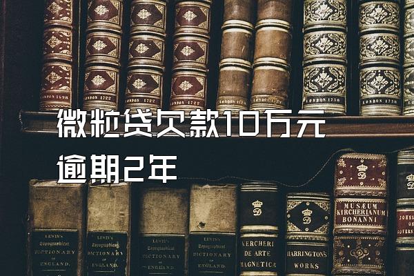 微粒贷欠款10万元逾期2年