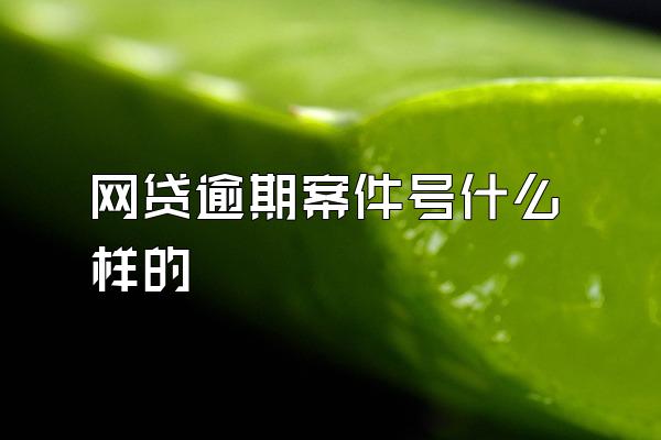 网贷逾期案件号什么样的