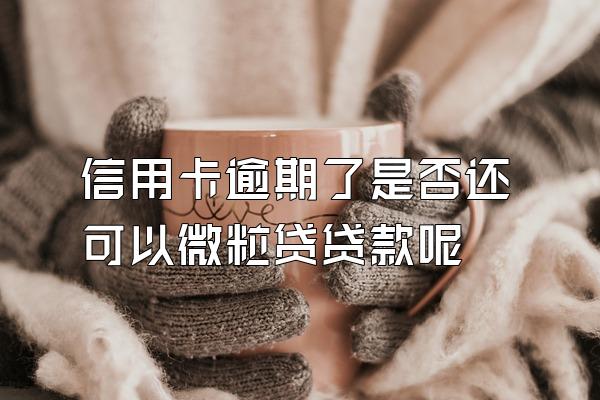 信用卡逾期了是否还可以微粒贷贷款呢