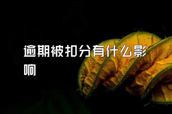 逾期被扣分有什么影响