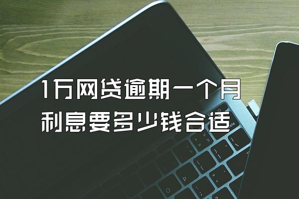 1万网贷逾期一个月利息要多少钱合适