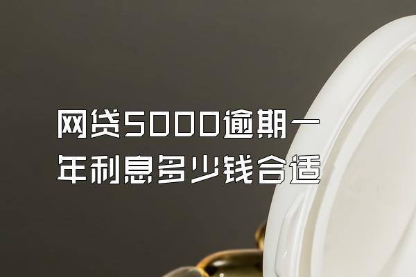 网贷5000逾期一年利息多少钱合适