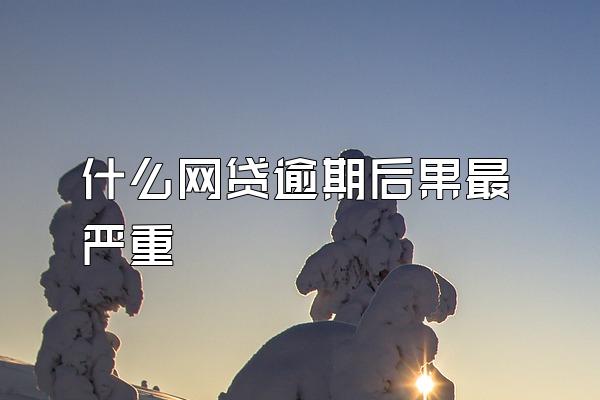 什么网贷逾期后果最严重