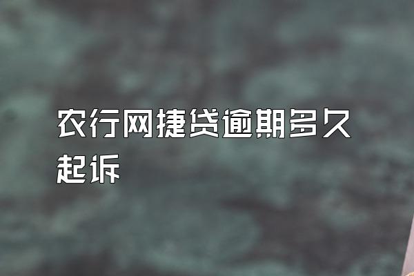 农行网捷贷逾期多久起诉