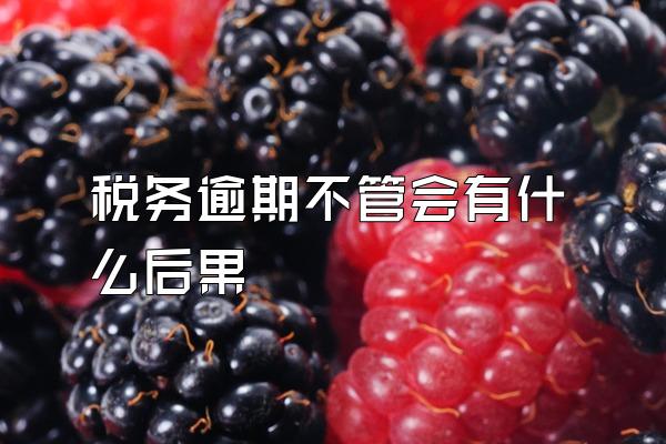 税务逾期不管会有什么后果