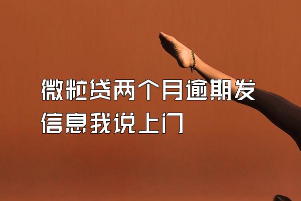 微粒贷两个月逾期发信息我说上门