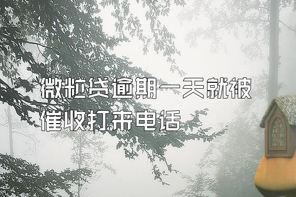 微粒贷逾期一天就被催收打来电话