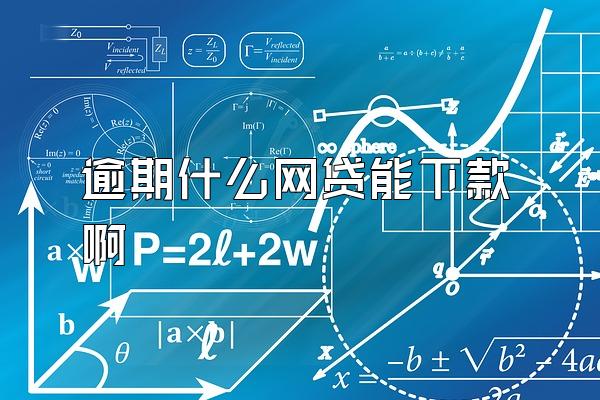 逾期什么网贷能下款啊