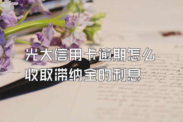 光大信用卡逾期怎么收取滞纳金的利息