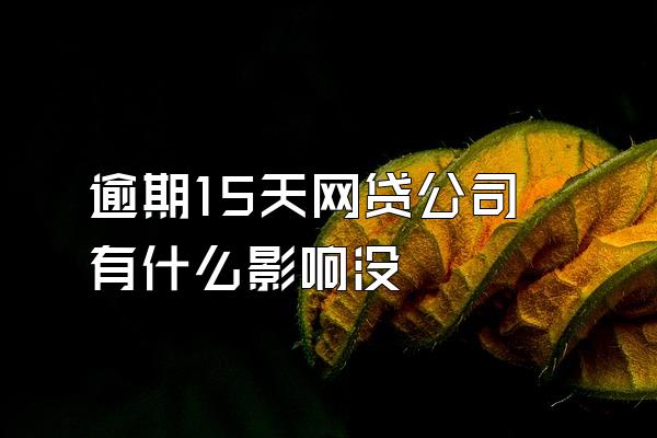 逾期15天网贷公司有什么影响没