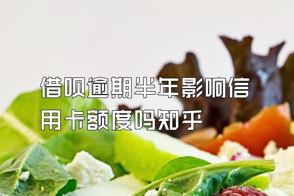 借呗逾期半年影响信用卡额度吗知乎