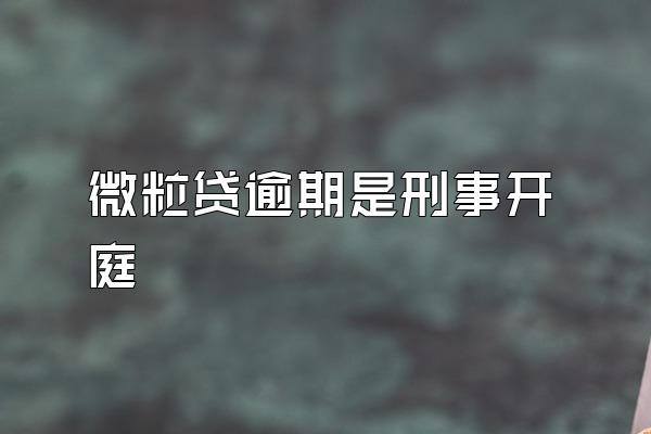 微粒贷逾期是刑事开庭